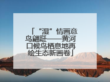 “湿”情画意鸟翩跹——黄河口候鸟栖息地再绘生态新画卷